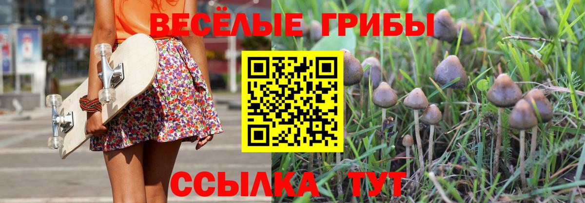 Галлюциногенные грибы прущие грибы  купить наркотик  Псилоцибиновые грибы Psilocybe  Рассказово  Вход с VPN 